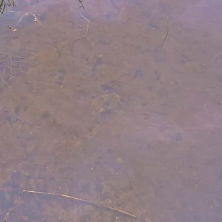 度假居 Maentyrinne By Interhome