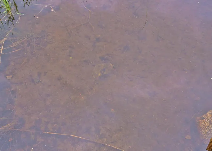 度假居 Maentyrinne By Interhome